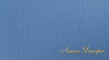 Ткань Daylight Lefaux Denim