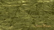 Ткань Дом Caro Dim out wispy 10